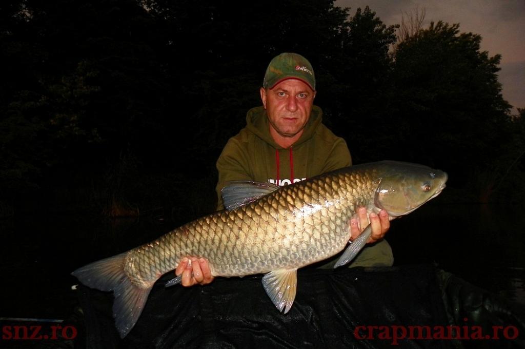 Tancabesti 2013 - 1010340-1.jpg